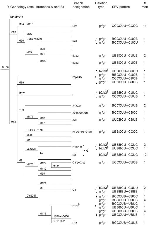 Figure  1