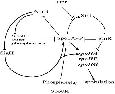 FIG. 5.