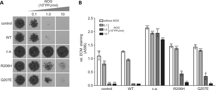 Figure 5.