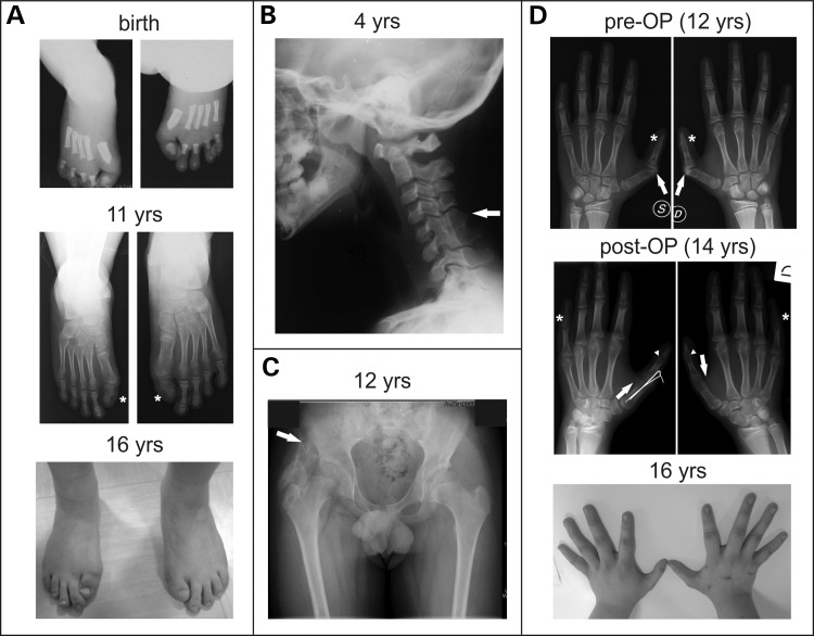 Figure 1.