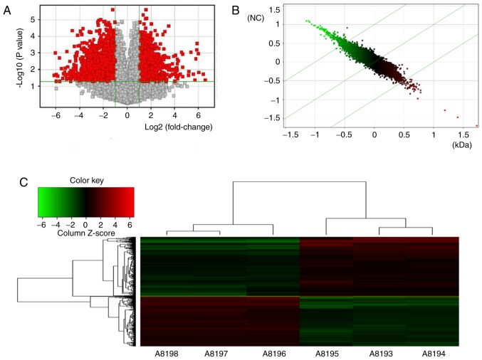 Figure 2.