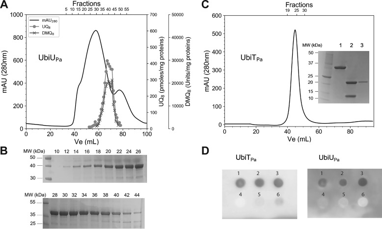 Figure 6.