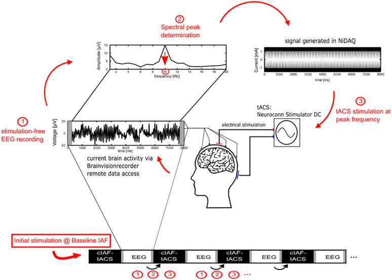 FIGURE 2