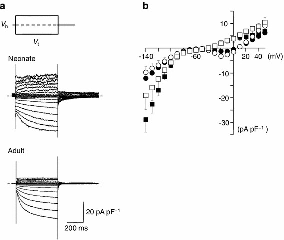 Fig. 4