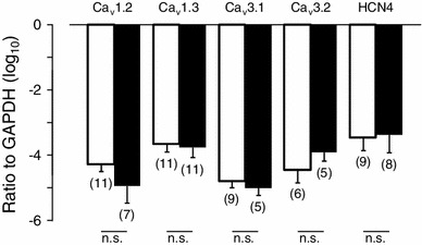 Fig. 8