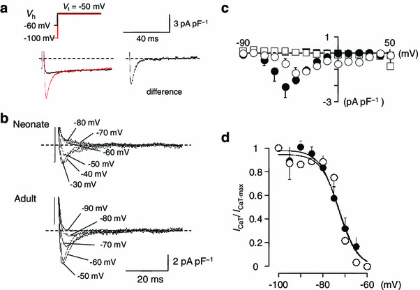 Fig. 7