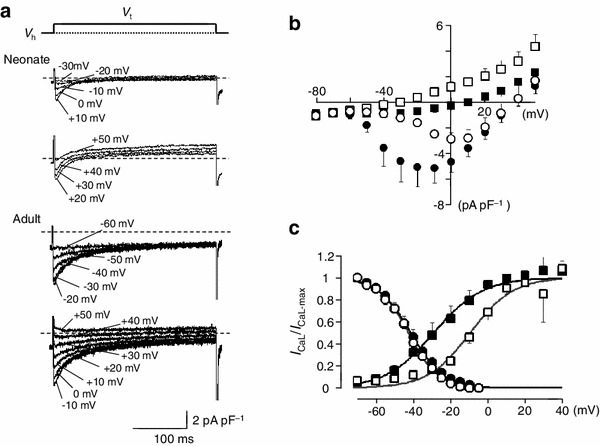 Fig. 6