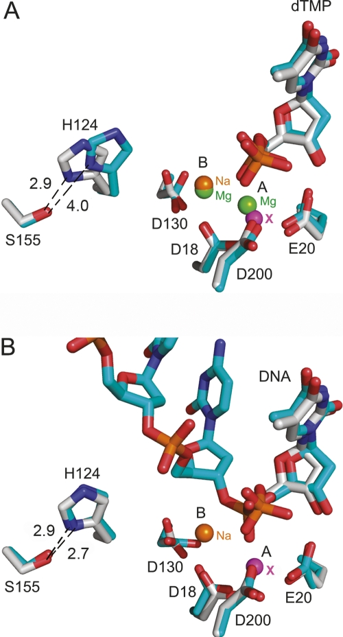 Figure 4.