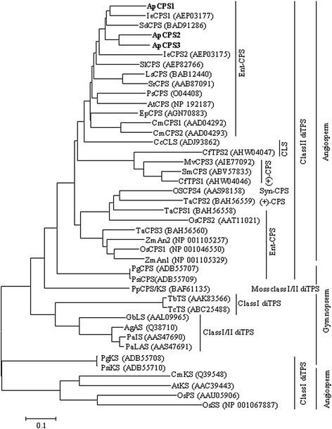 Fig. 7