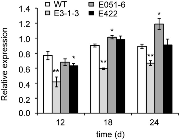 FIGURE 3