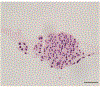 Figure 5: