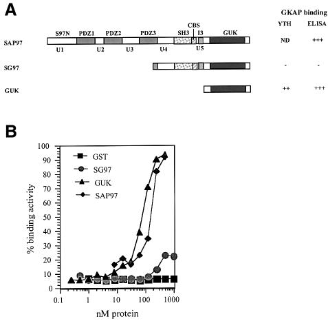 graphic file with name cdd574f1a.jpg