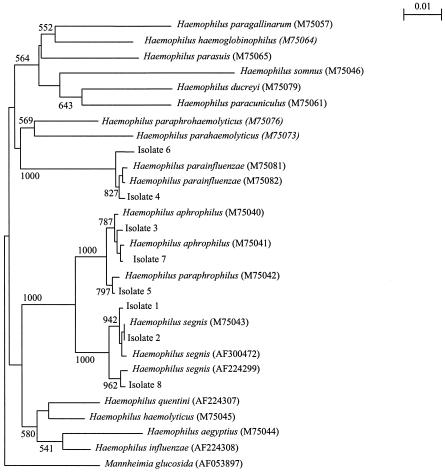 FIG. 1.