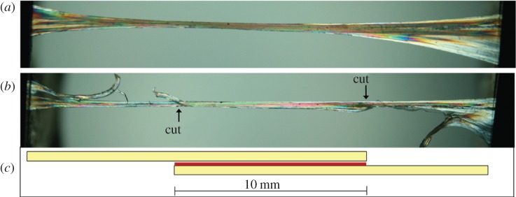 Figure 2.