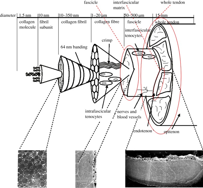 Figure 1.