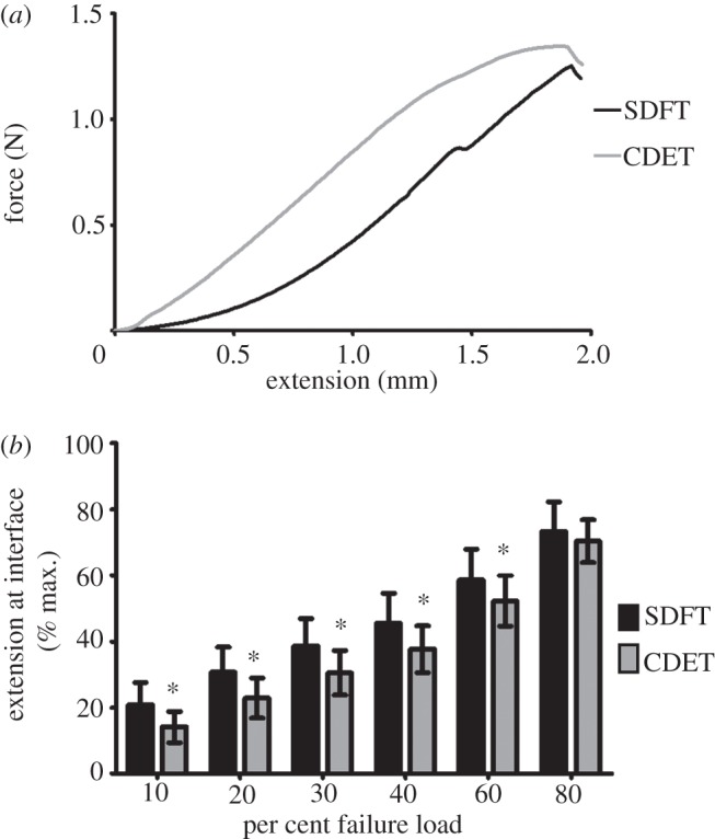 Figure 5.