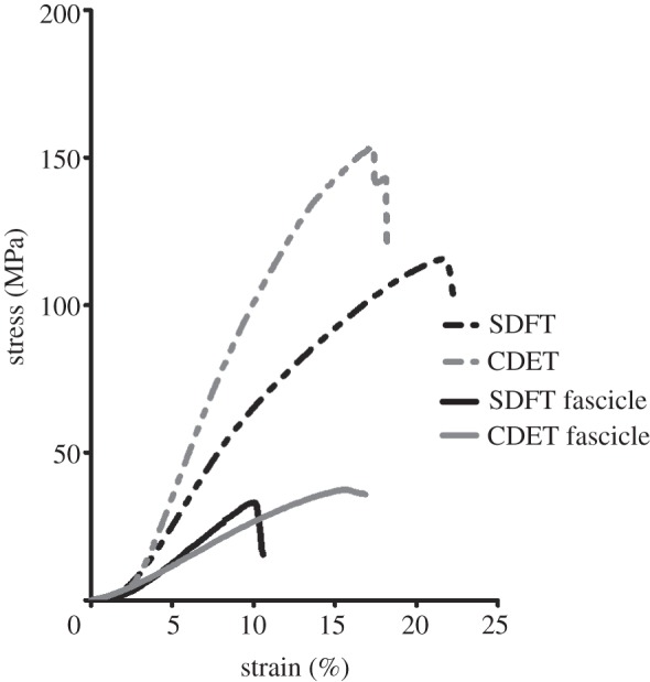 Figure 3.