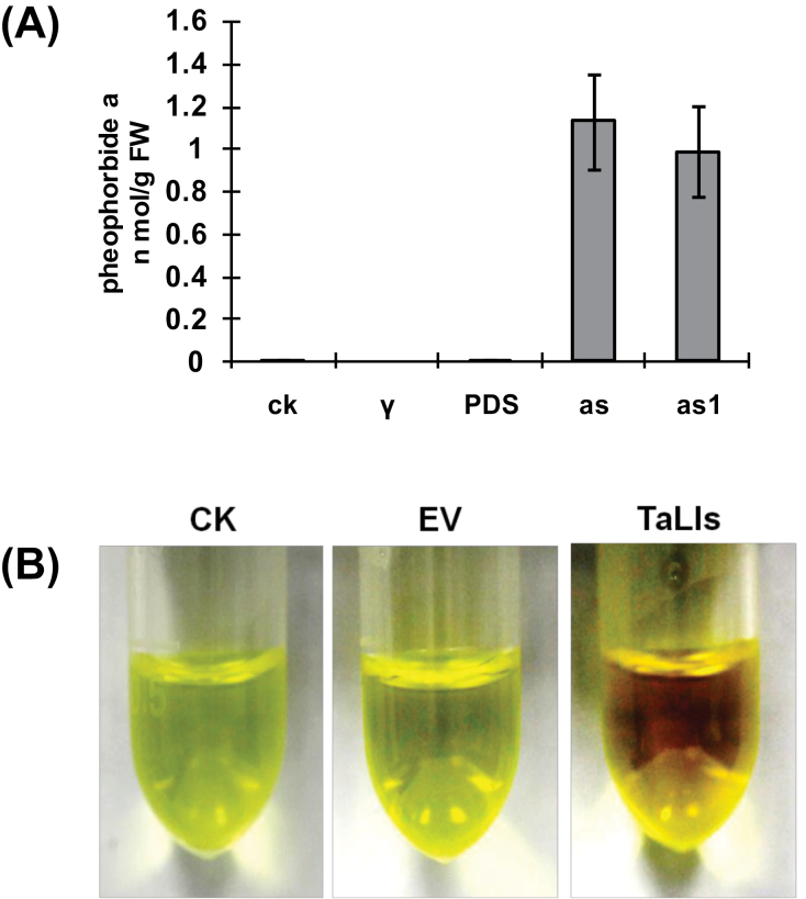 Fig. 9.