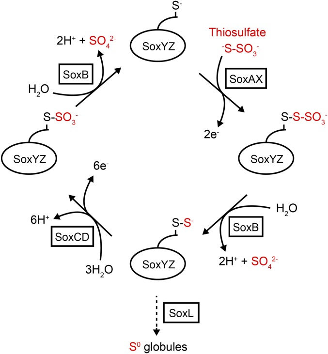 Fig. 1.