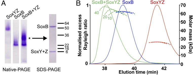 Fig. 3.