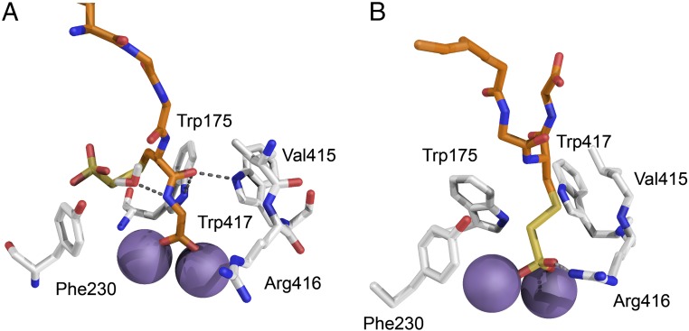 Fig. 9.