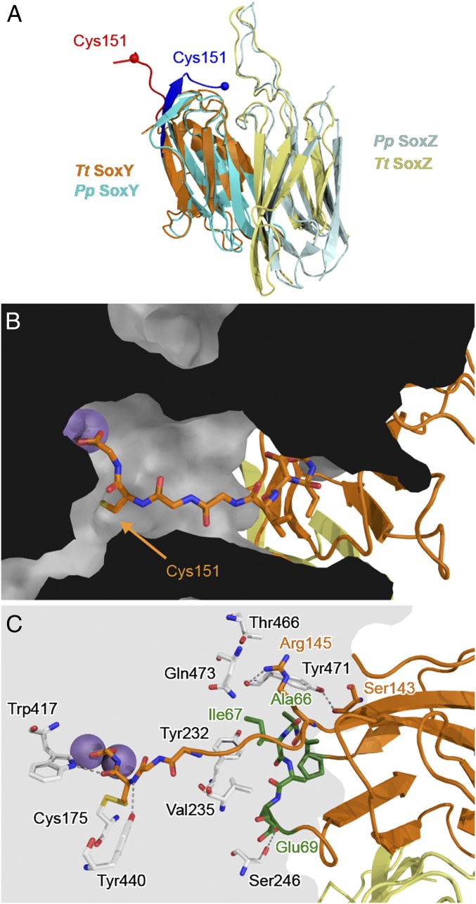 Fig. 7.