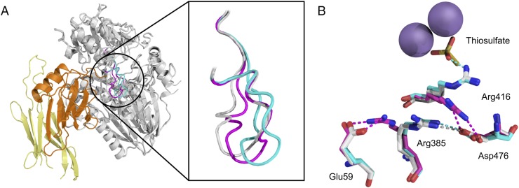 Fig. 8.