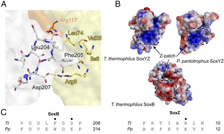 Fig. 6.