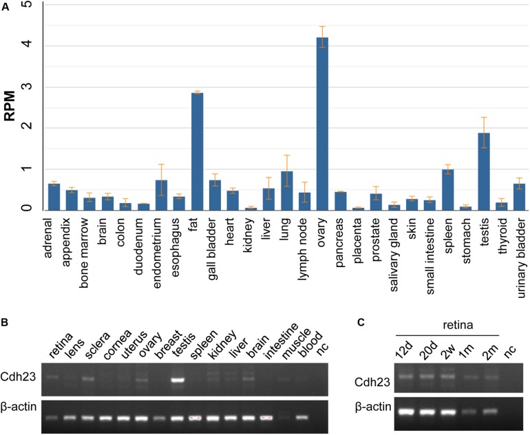 FIGURE 3