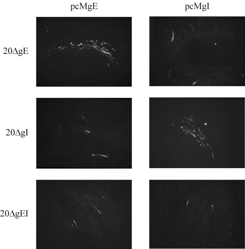 FIG. 6