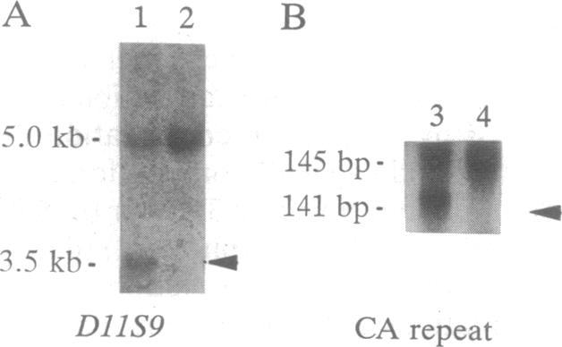 graphic file with name pnas01102-0288-b.jpg