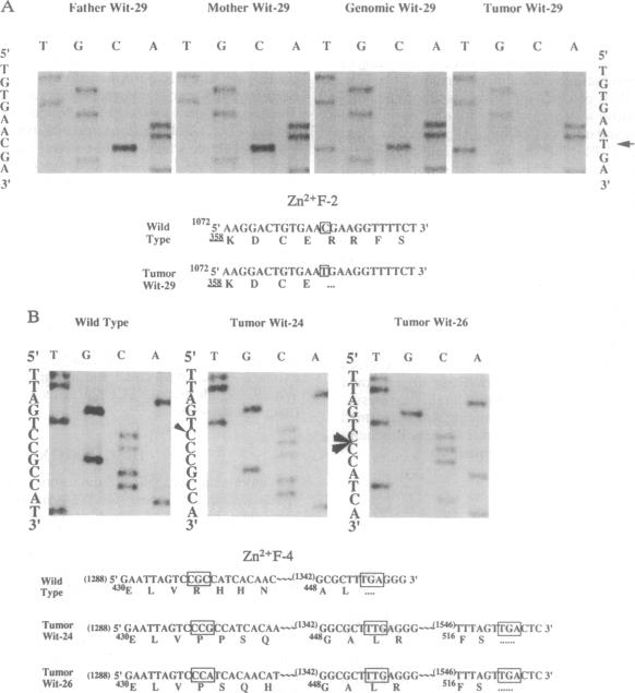 graphic file with name pnas01102-0289-a.jpg