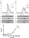 Fig 11