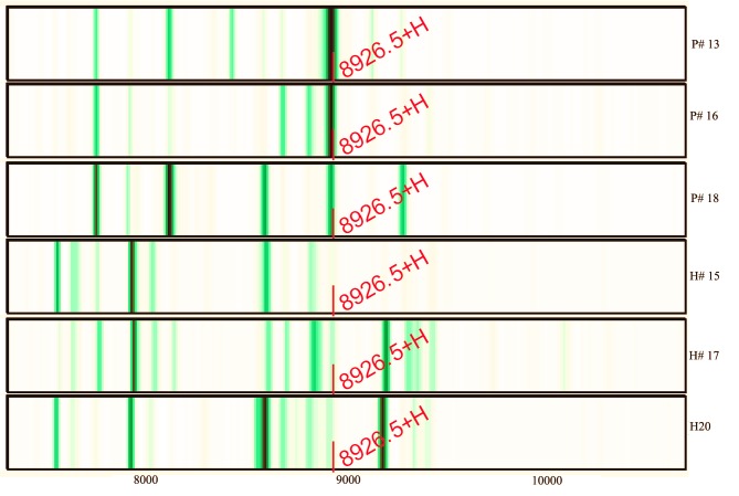 Figure 3.