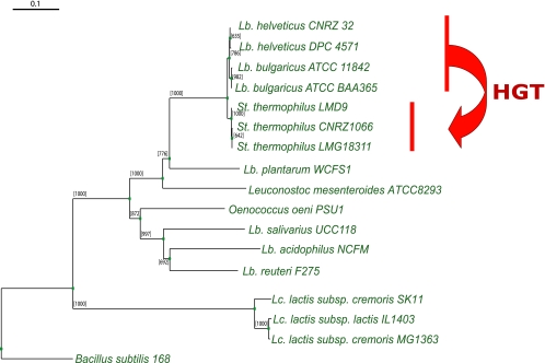 FIG. 1.