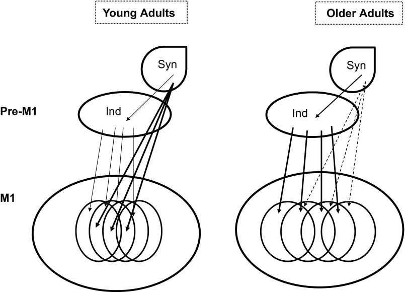 Fig. 7.