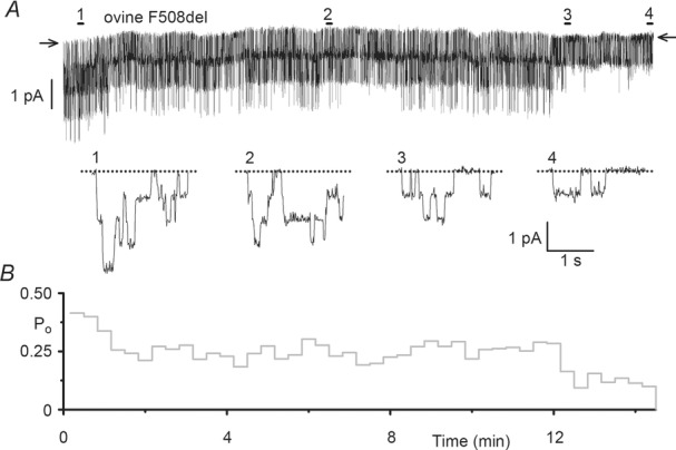 Figure 10