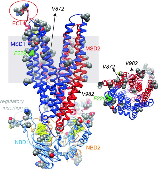 Figure 11