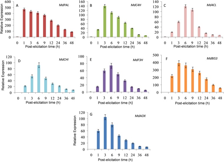 Figure 6