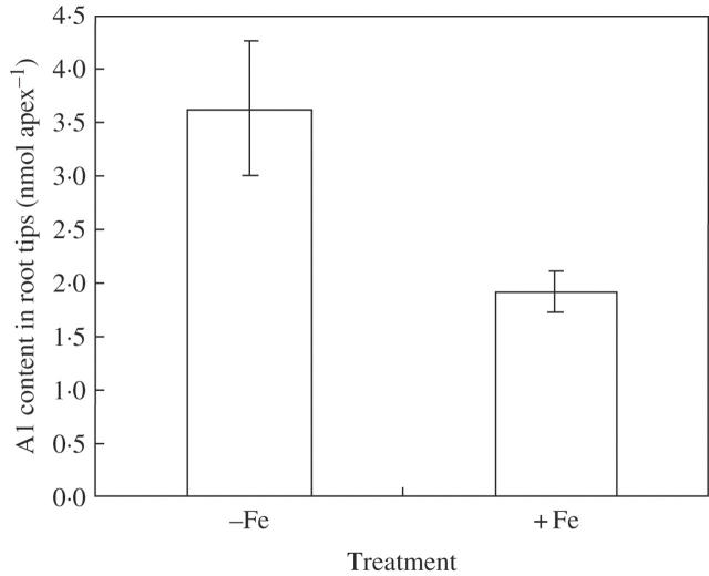 Fig. 3.