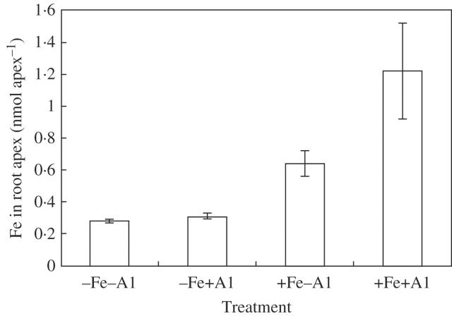 Fig. 6.