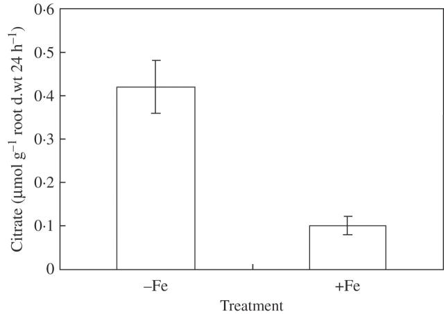 Fig. 5.