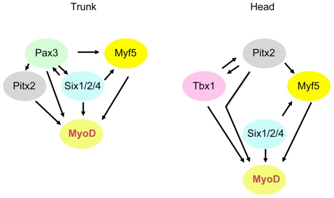 Figure 9