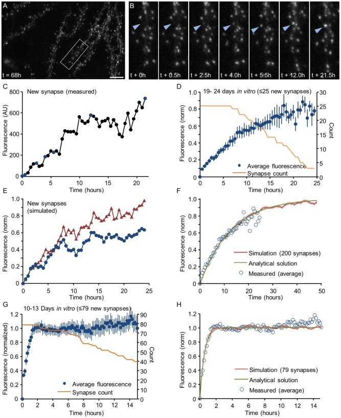 Figure 10