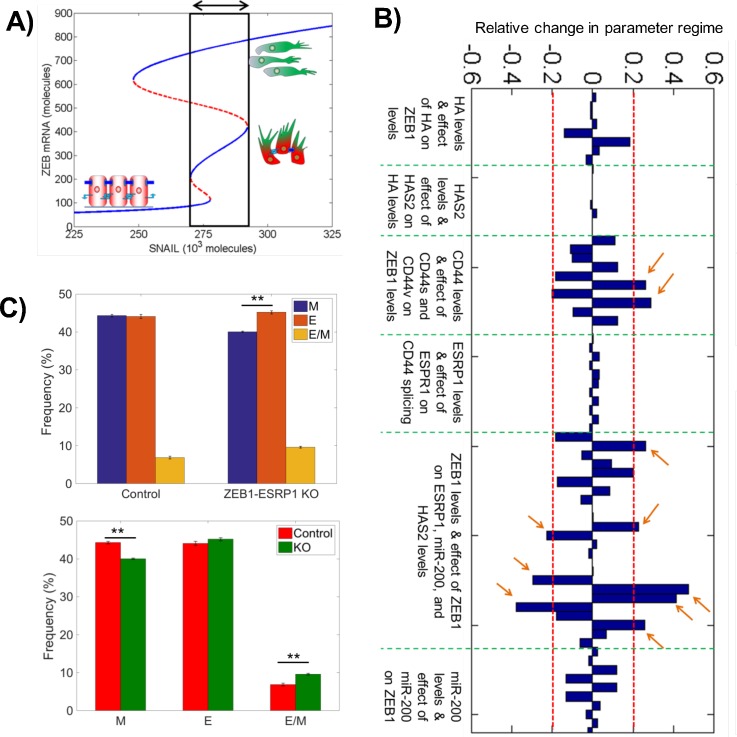 FIG. 2.