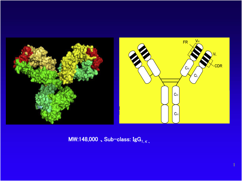 Fig. 1