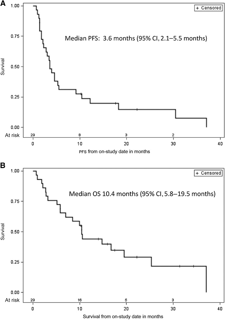 Figure 2. Kaplan–Meier estimate of overall survival (A) and progression-free survival (B) for overall study population (n = 29). Vertical lines show censored events.