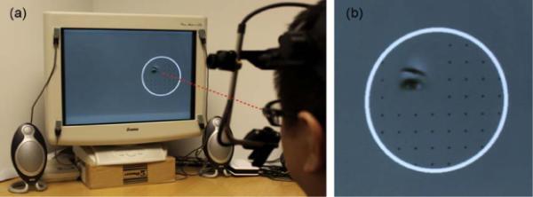 Fig. 1