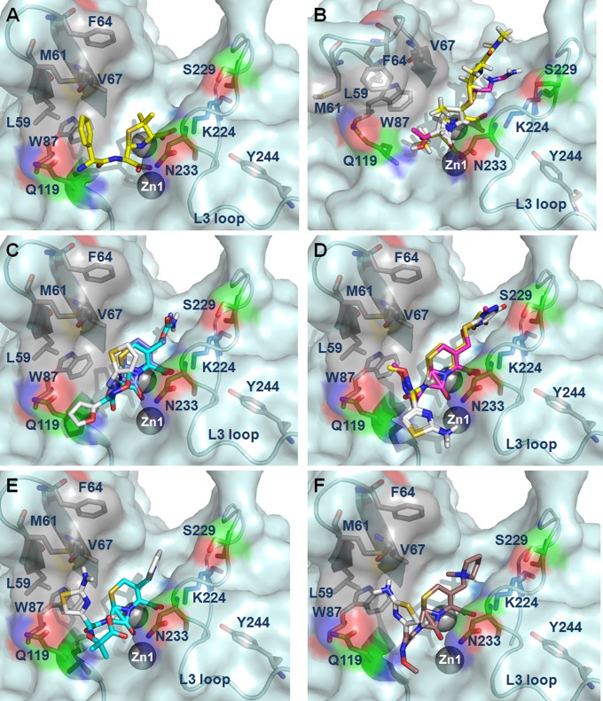 FIG 2