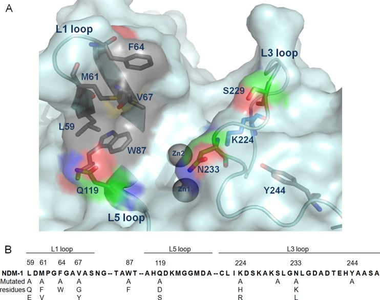 FIG 1